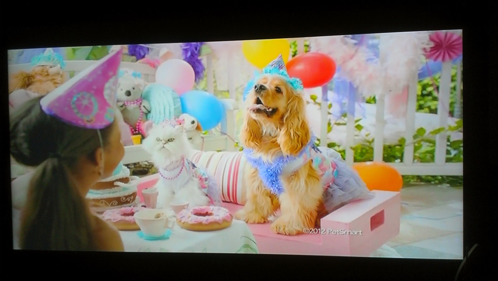what kind of dog is in the petsmart commercial 2017