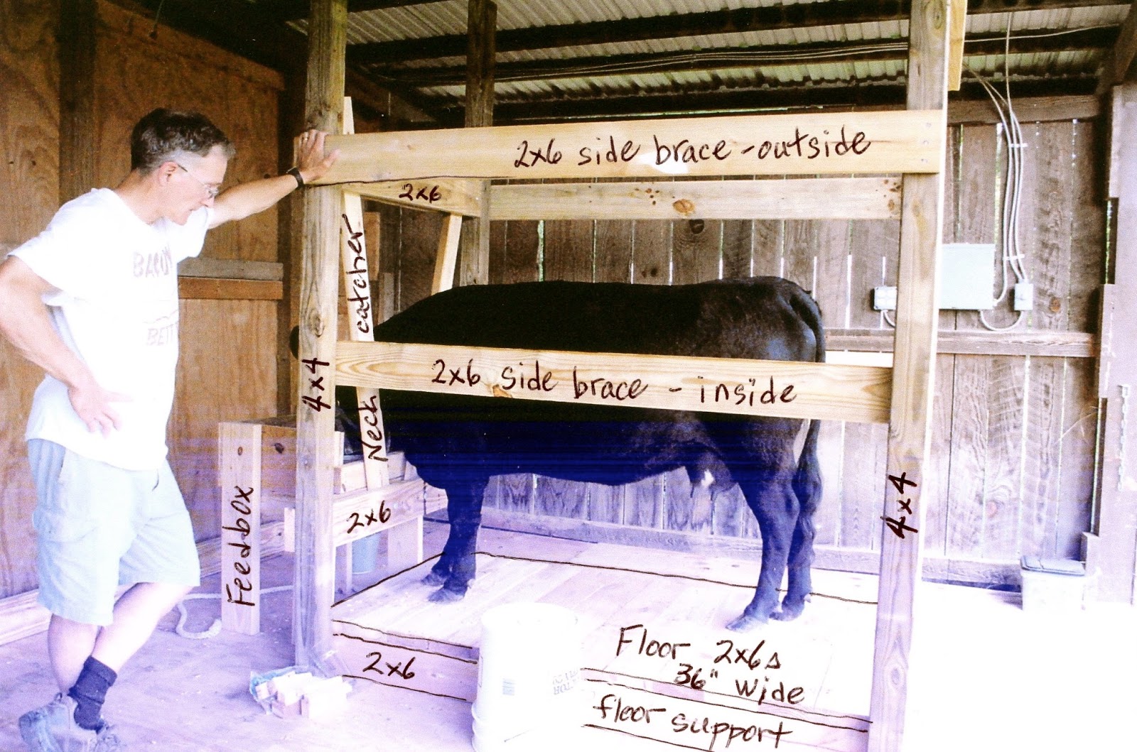 Adventures on Zephyr Hill Farm Our Dexter Milking Stanchion Plans