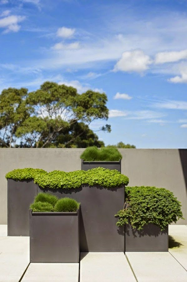 Terrace garden – beautiful design ideas!