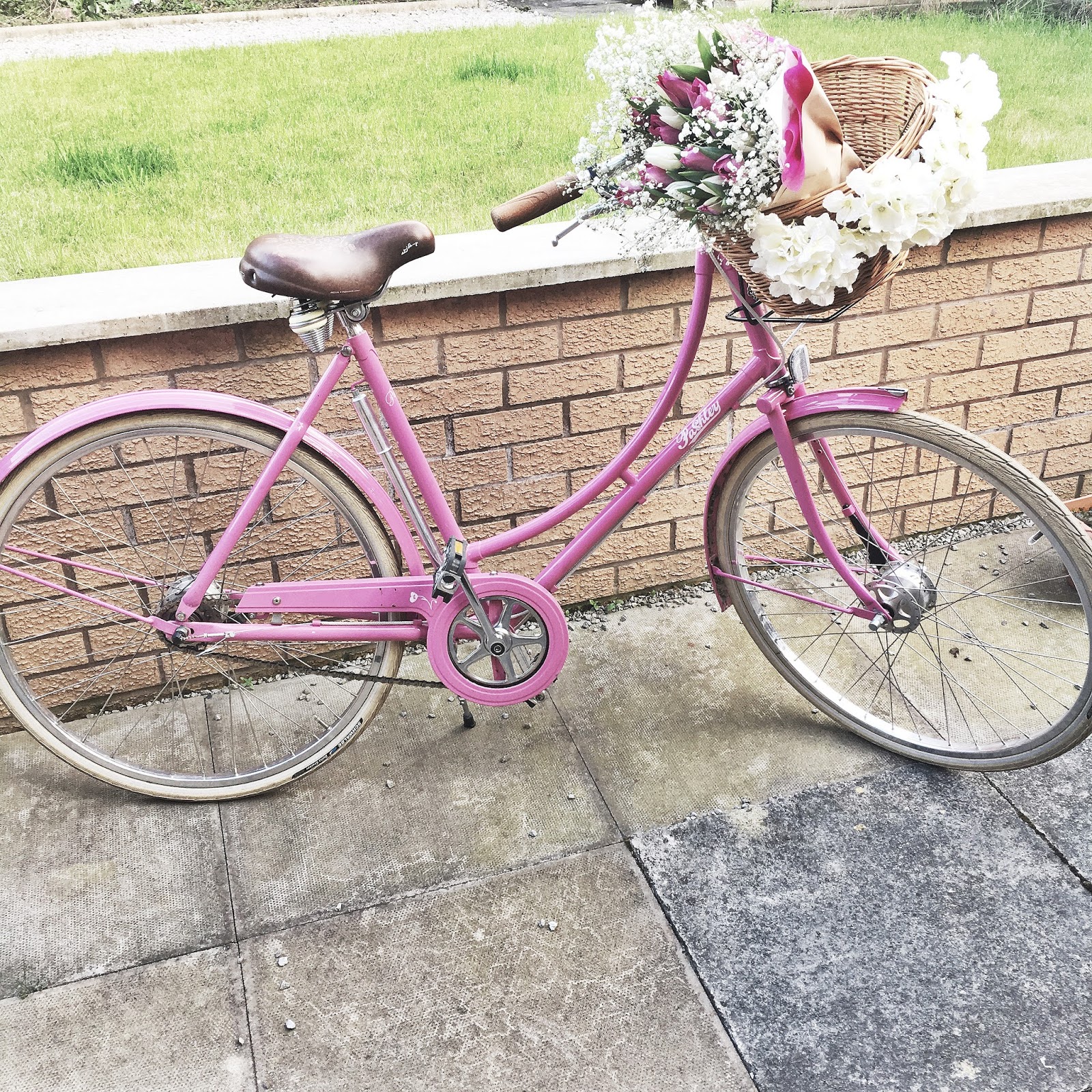 pink pashley bike
