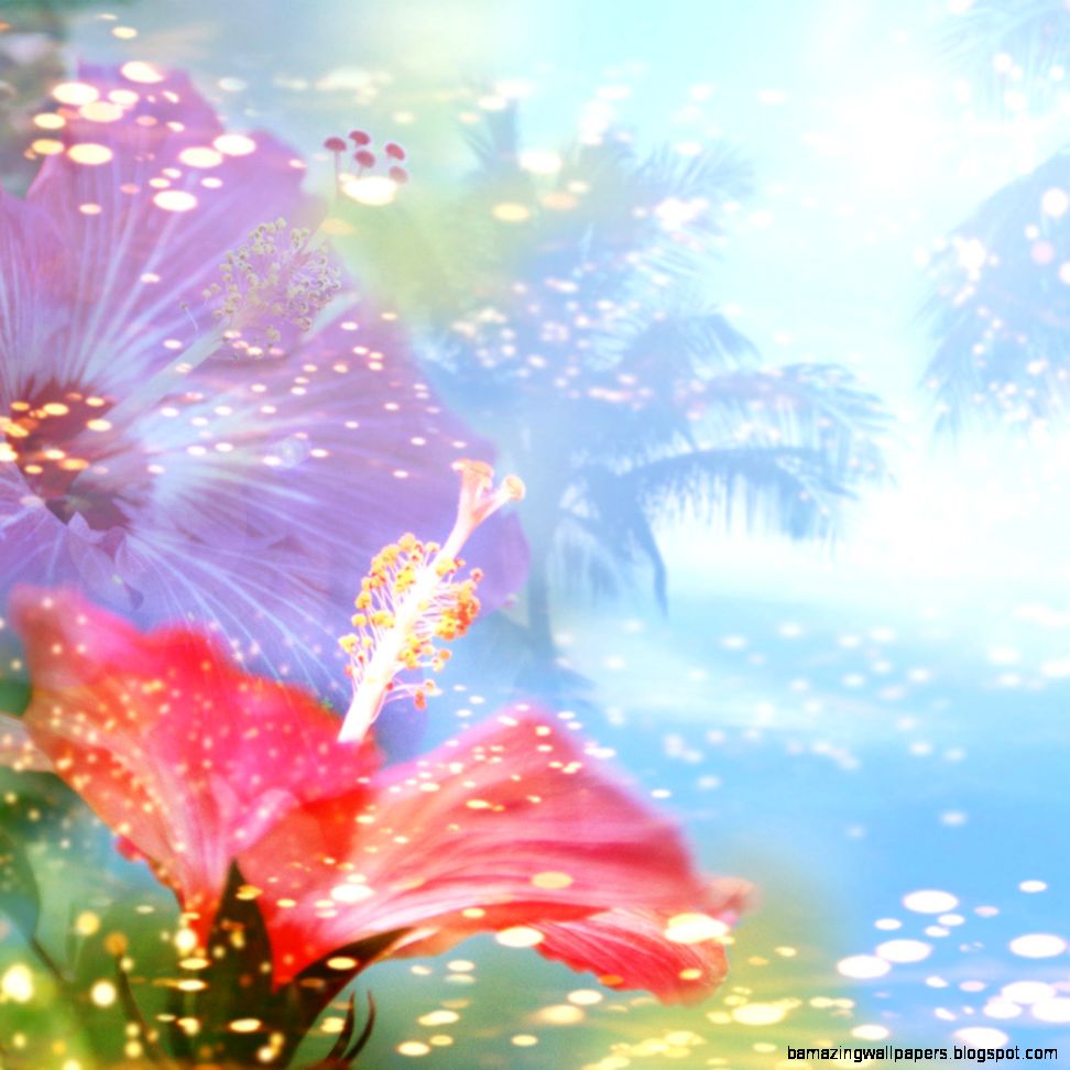 Hibiscus iPad Backgrounds Best iPad Wallpaper Wallpaper