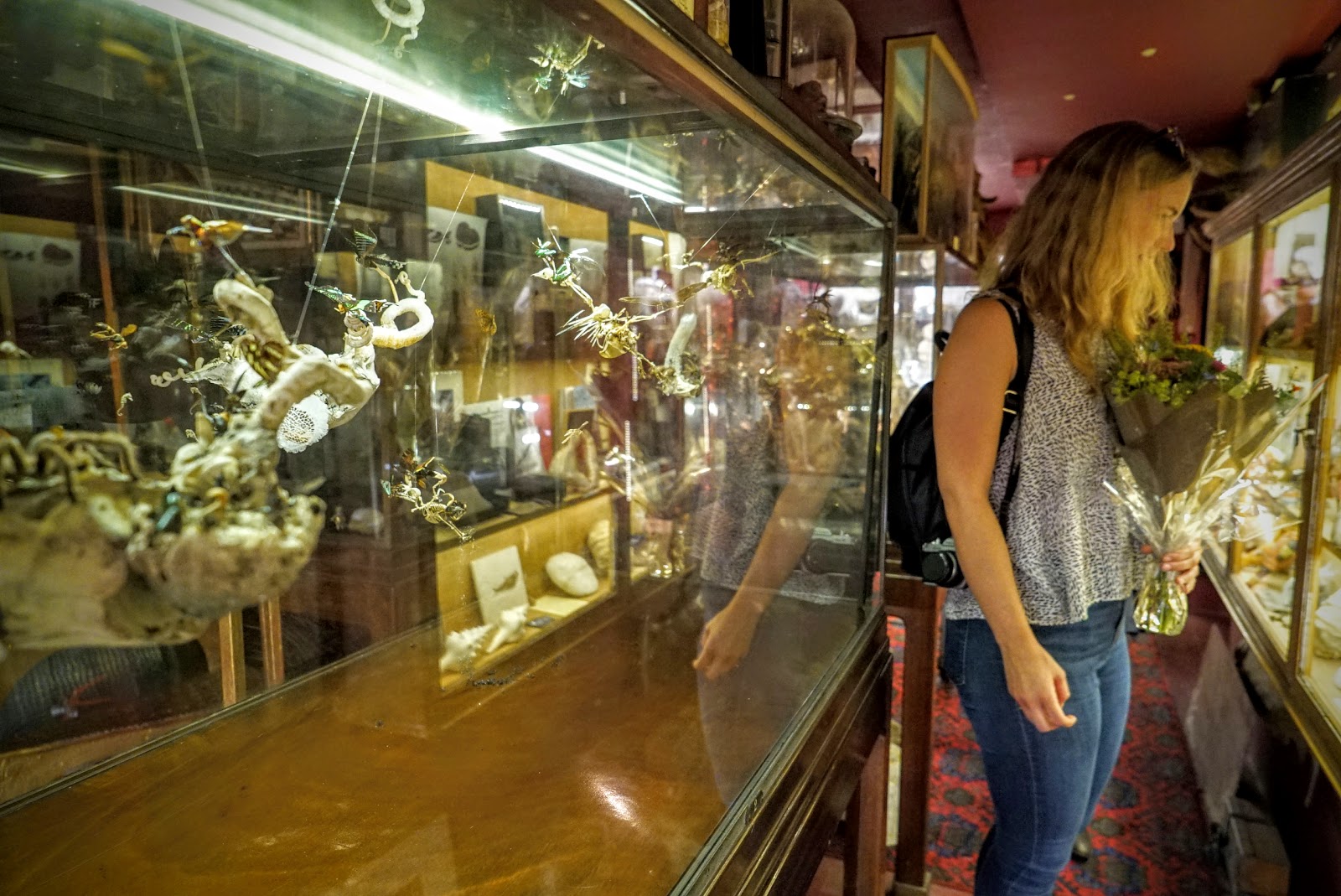 Happening London: The Viktor Wynd Museum of Curiosities