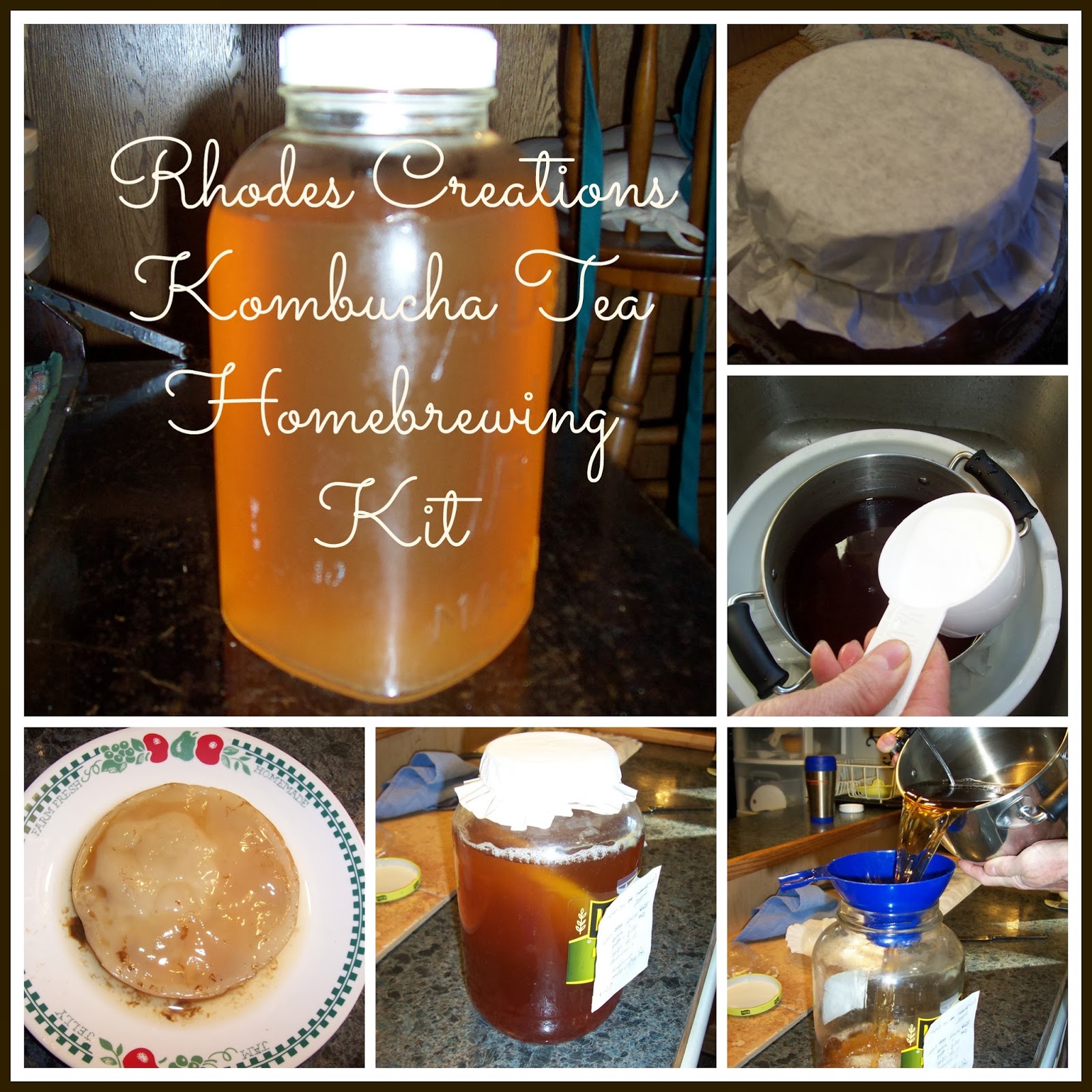 Kombucha Tea Starter Homebrewing Kits Laura Lynn Rhodes Blog