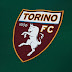 Torino usará camisa verde em homenagem a Chapecoense