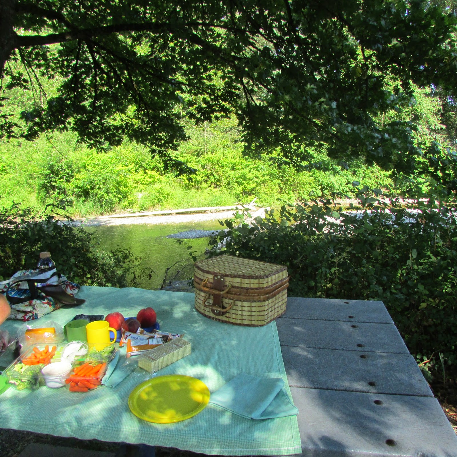 A Hike in the Park Centennial Picnic