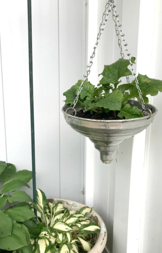 DIY Hanging Lamp Shade Repurposed Planter