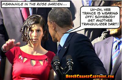 obama, obama jokes, cartoon, healthcare.gov, obamacare, rose garden, stilton jarlsberg, hope n' change, tea party