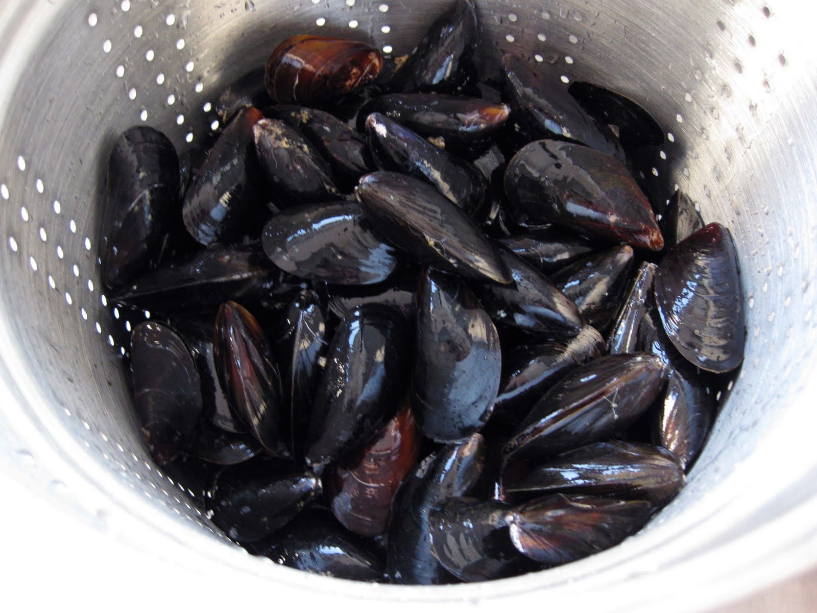 Bloatal Recall Mussels alla Diavola