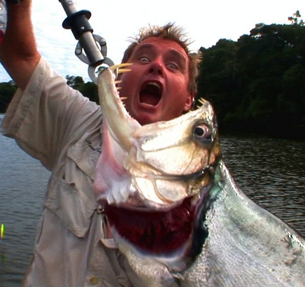 vampire fish amazon river monsters isharenewss