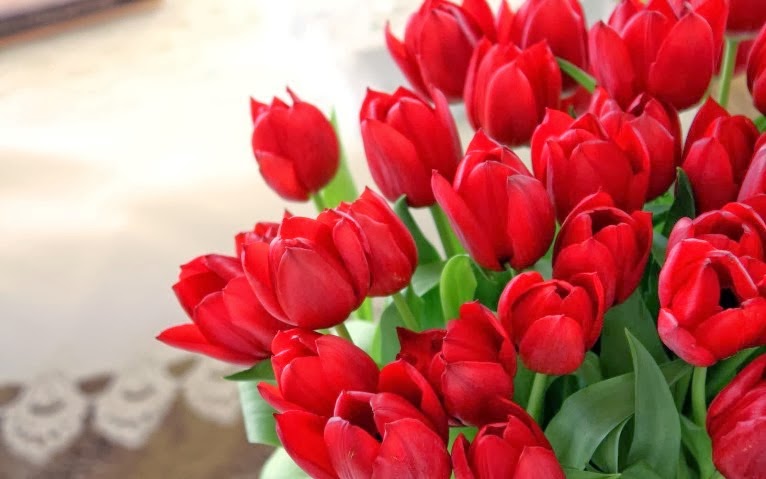 Gambar Share Knowledge Makna Bunga Tulip Berdasarkan Warna  