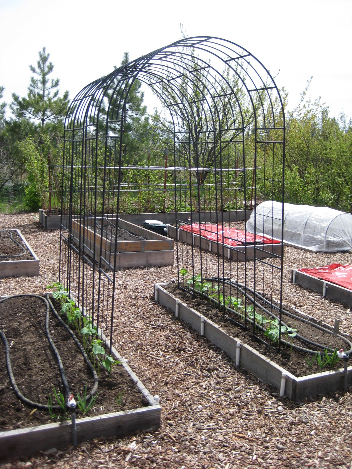 Susan's In the Garden Arbors and trellises on sale