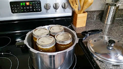 cooker pressure adventures southwestern canning bean soup actually doesn hold