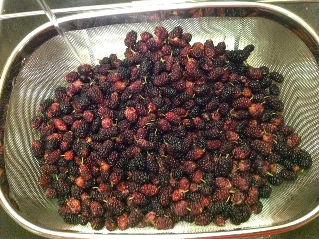 mulberries in strainer