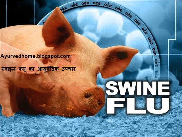 Swine Flu Ayurvdic Treatment  स्वाइन फ्लू का आयुर्वेदिक उपचार