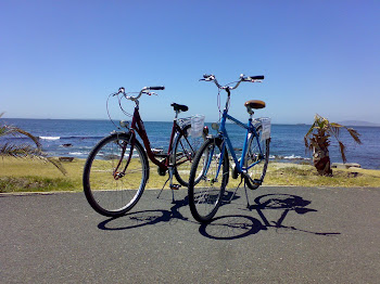 Bicycle Rental and Tours