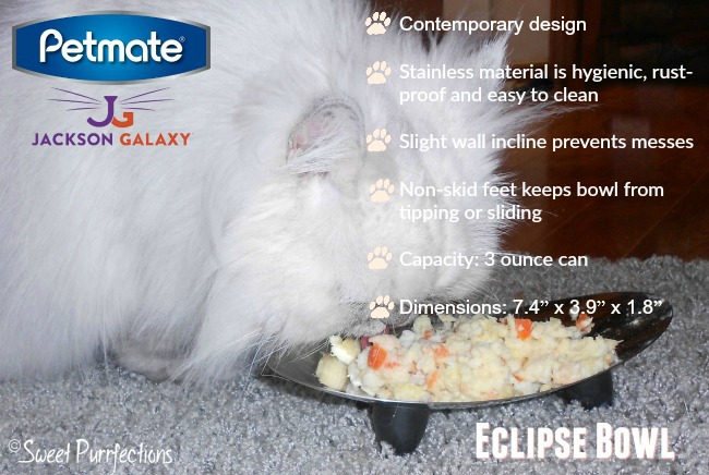 jackson galaxy eclipse bowl