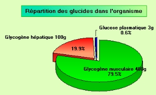 Grégory Capra: Cardio / Muscu : à éviter le même jour Grégory Capra: Cardio / Muscu : à éviter le même jour
