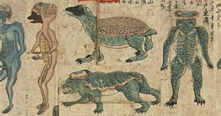 Arti Kappa Dalam Bahasa Jepang Murid Santuy