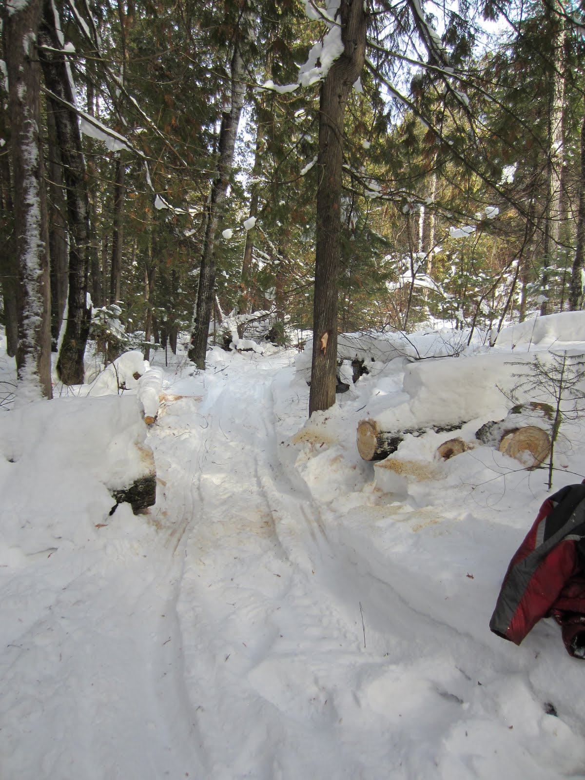 Rainy River District Stewardship Current Projects