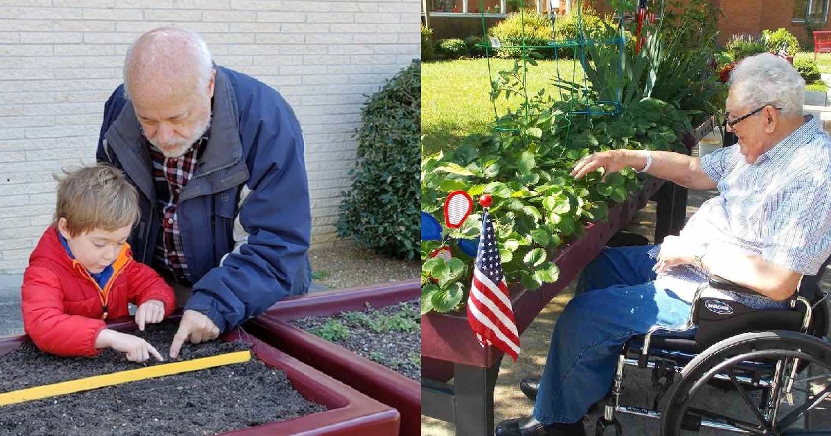 After Seeing His Brother Giving Up On Gardening, This Man Designed Tabletop Gardens For People In Wheelchairs