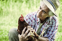 Comment transporter une poule ?