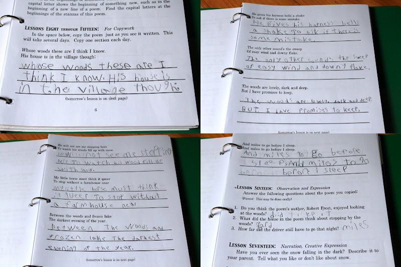 Winter Rows Fi Ar Delightful Learning