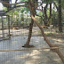 Un mono mordió a un niño de 7 años en el Zoologico