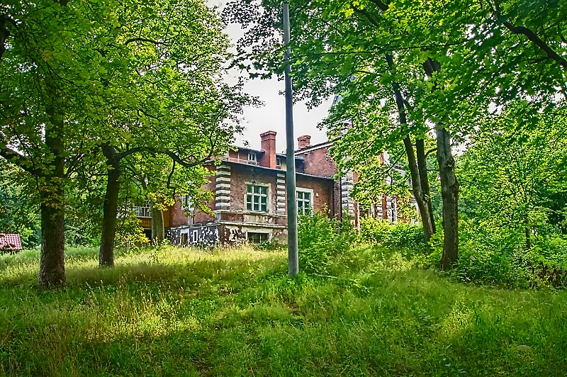 Zamki i palace foto Majka D SZYLDAK
