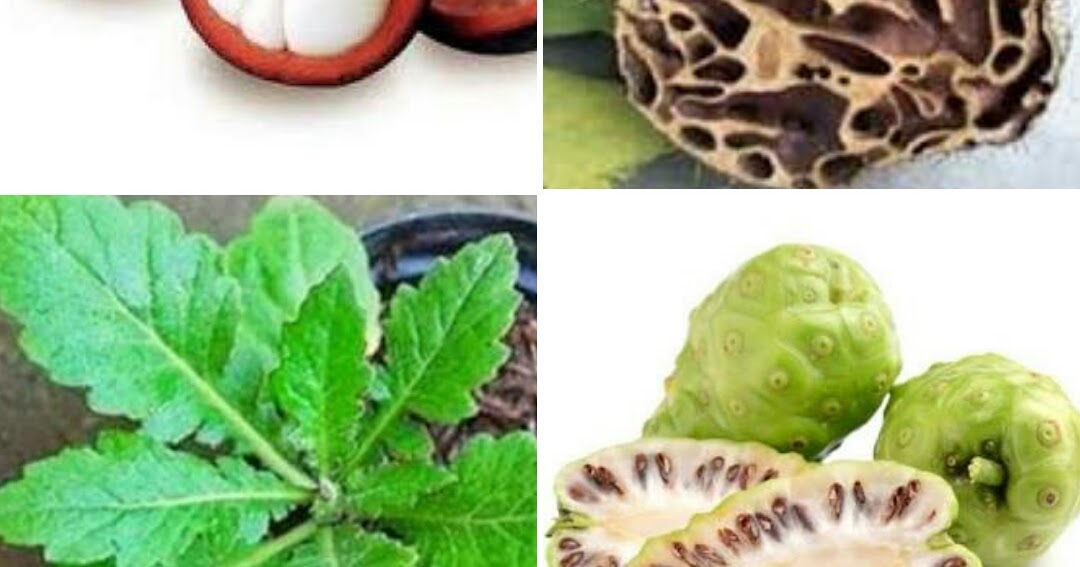 Tanaman Obat Jantung Lemah