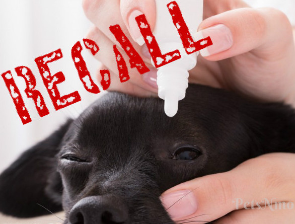 Pets N More: Nationwide Recall of Contaminated Pet Eye Drops