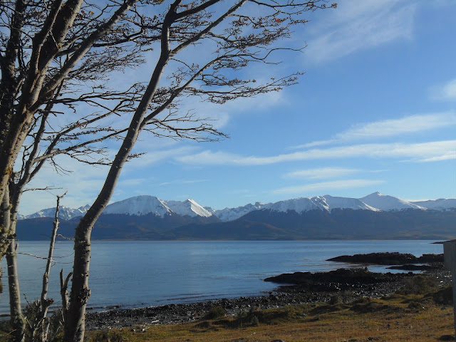 Visitar PUERTO WILLIAMS na Isla Navarino - O Mundo do Fim do Mundo | Chile