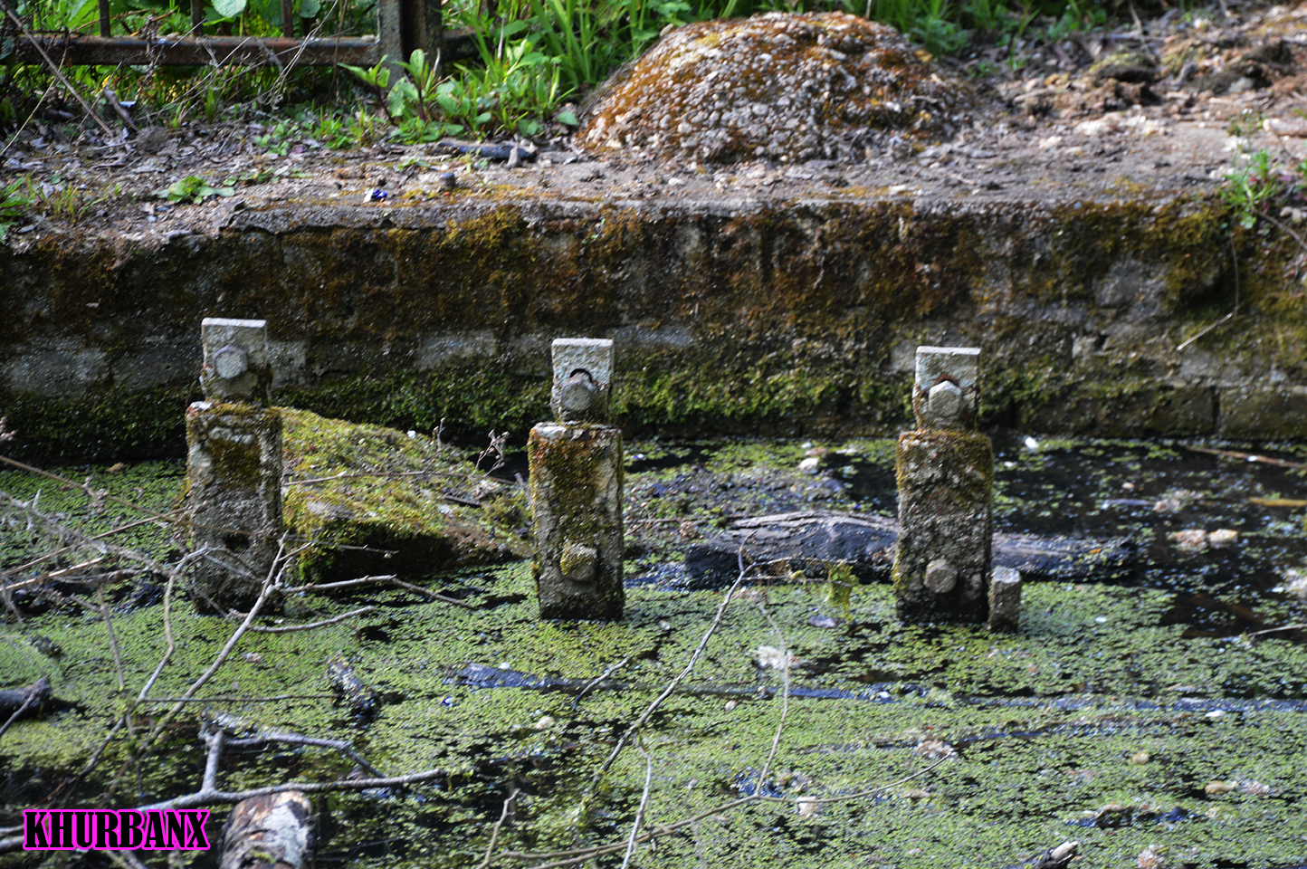 Khurbanx Wash Mills in Berengrave Nature Reserve Rainham kent