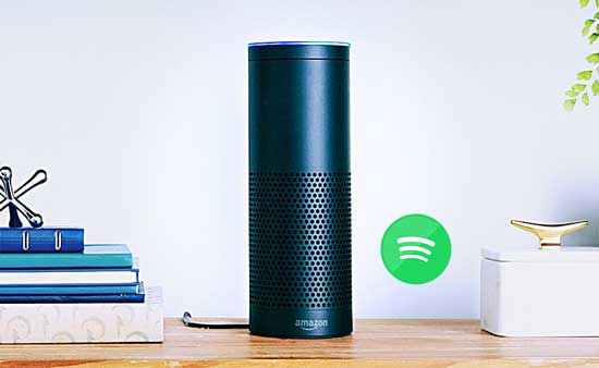 amazon echo spotify amazon echo spotify
