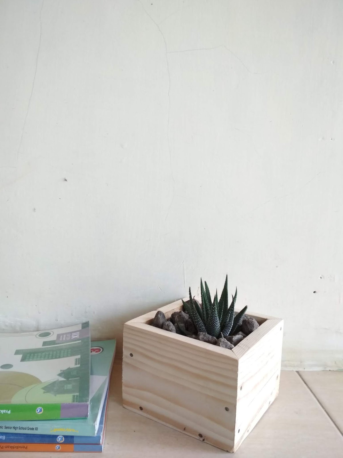 Aku dan Indonesiaku Cara Membuat Souvenir Pot  Kaktus  Mini 