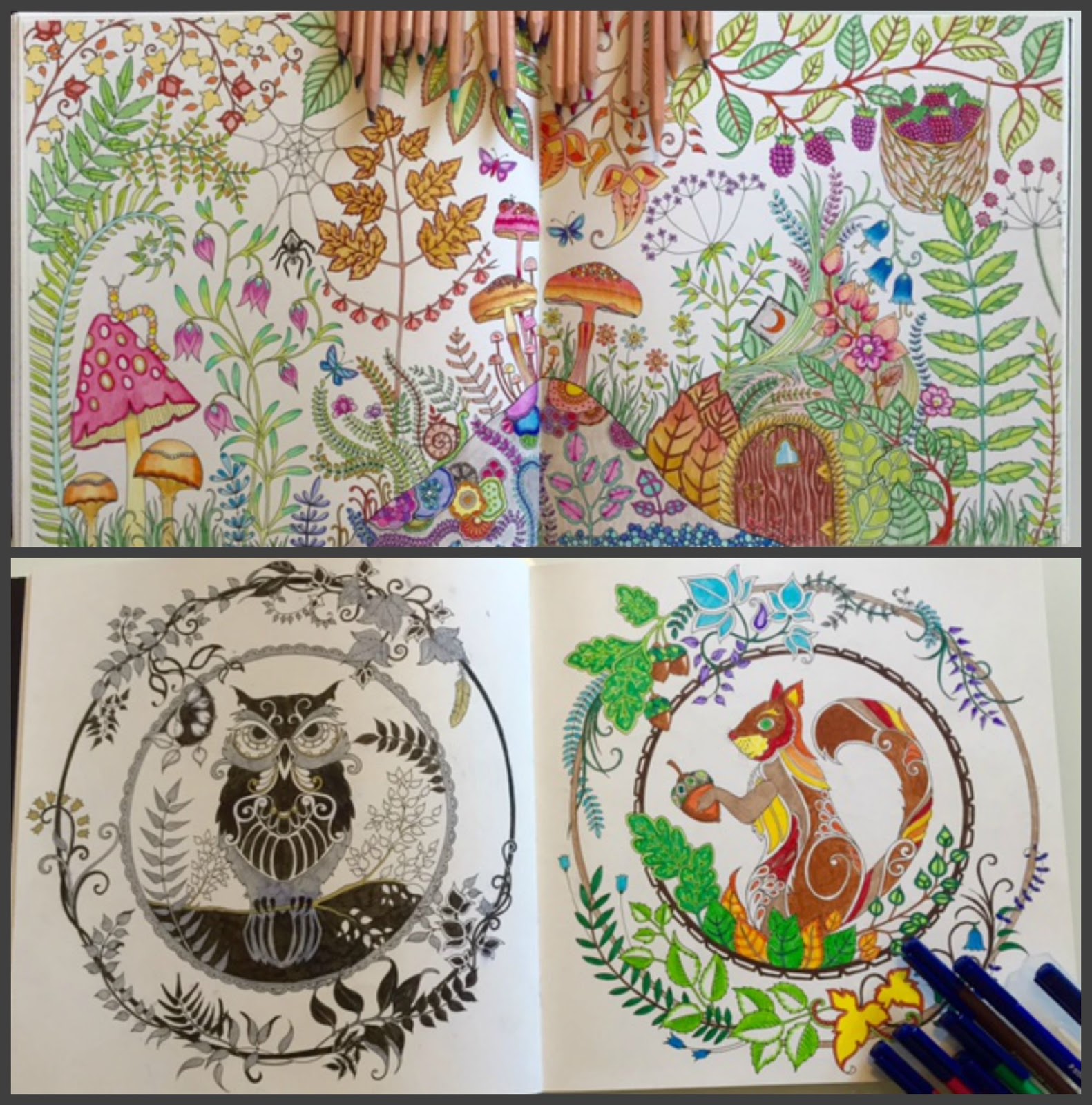 Johanna Basford Creates Enchanting Adult Coloring Books