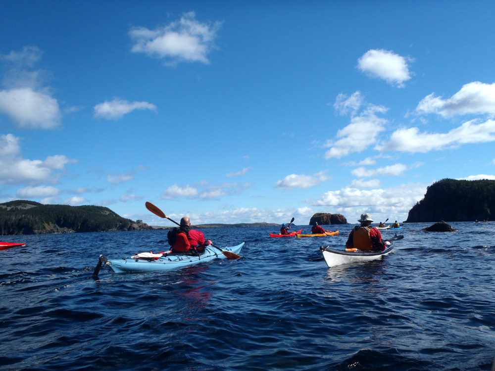 My Newfoundland Kayak Experience Aquaforte club paddle