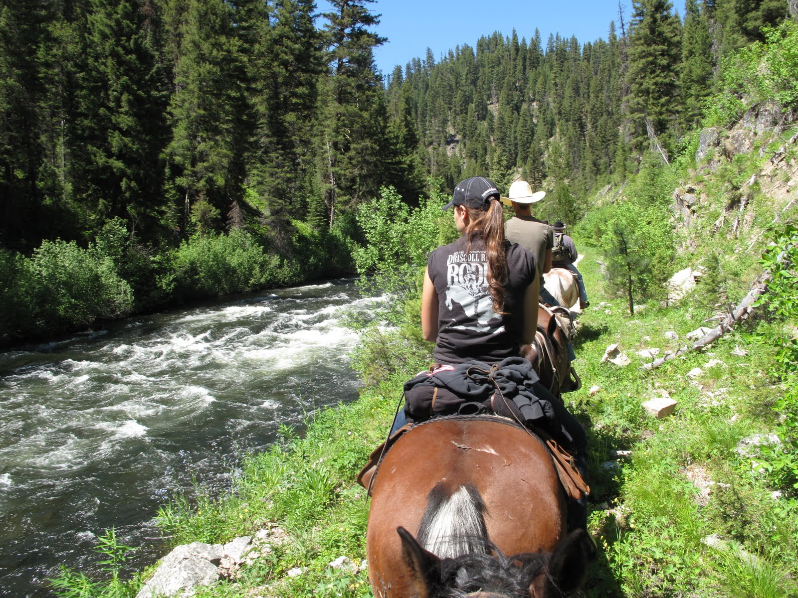 The Horse and Hound: Ride to the hot springs