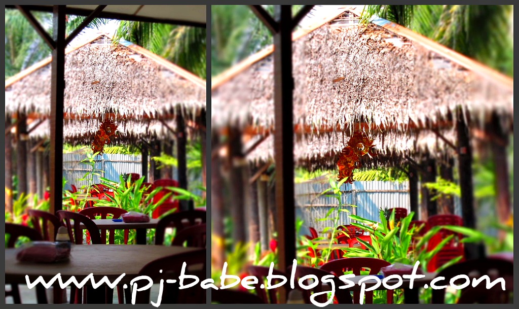 Coconut Flower Seafood Restaurant PJ Babe