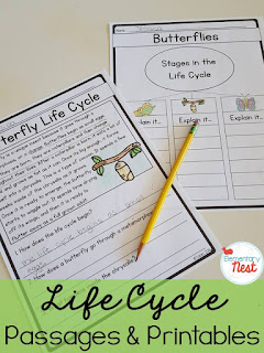 Second Grade Nest: Teaching Life Cycles