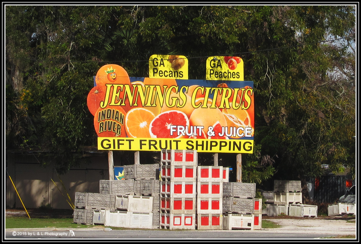 Ocala, Central Florida & Beyond Jennings Citrus