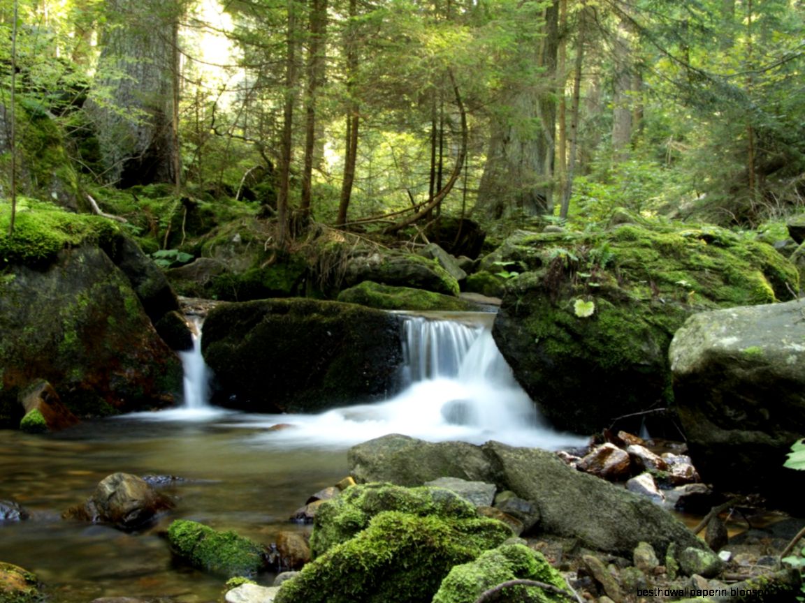 awesome natural river hd wallpaper  Free HD Wallpaper