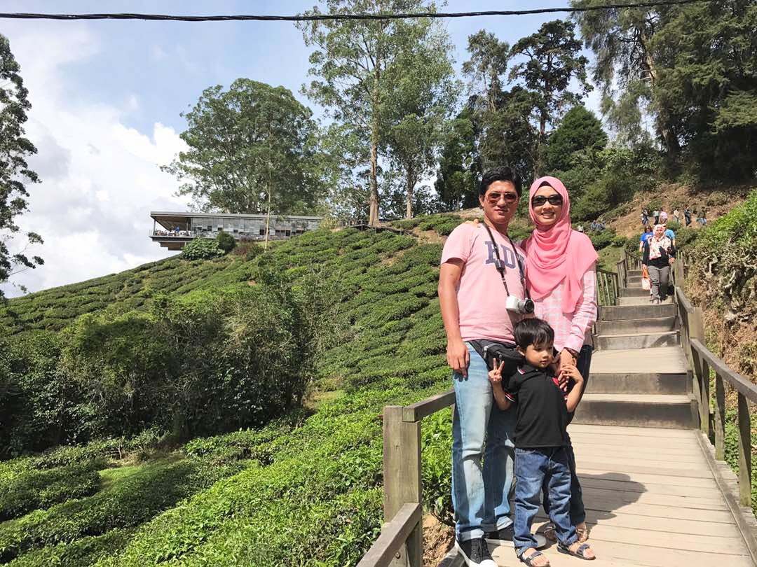 Sweet Escape To Cameron Highland, Pahang With Familia│Mesmerizing Green View At The Boh Tea Centre, Sungai Palas