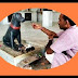 इस मंदिर में किसी भगवान की नहीं बल्कि कुत्ते की होती है पूजा - Dog puja