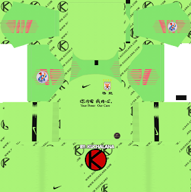 Shandong Luneng FC 2019 ACL Kit - Dream League Soccer Kits