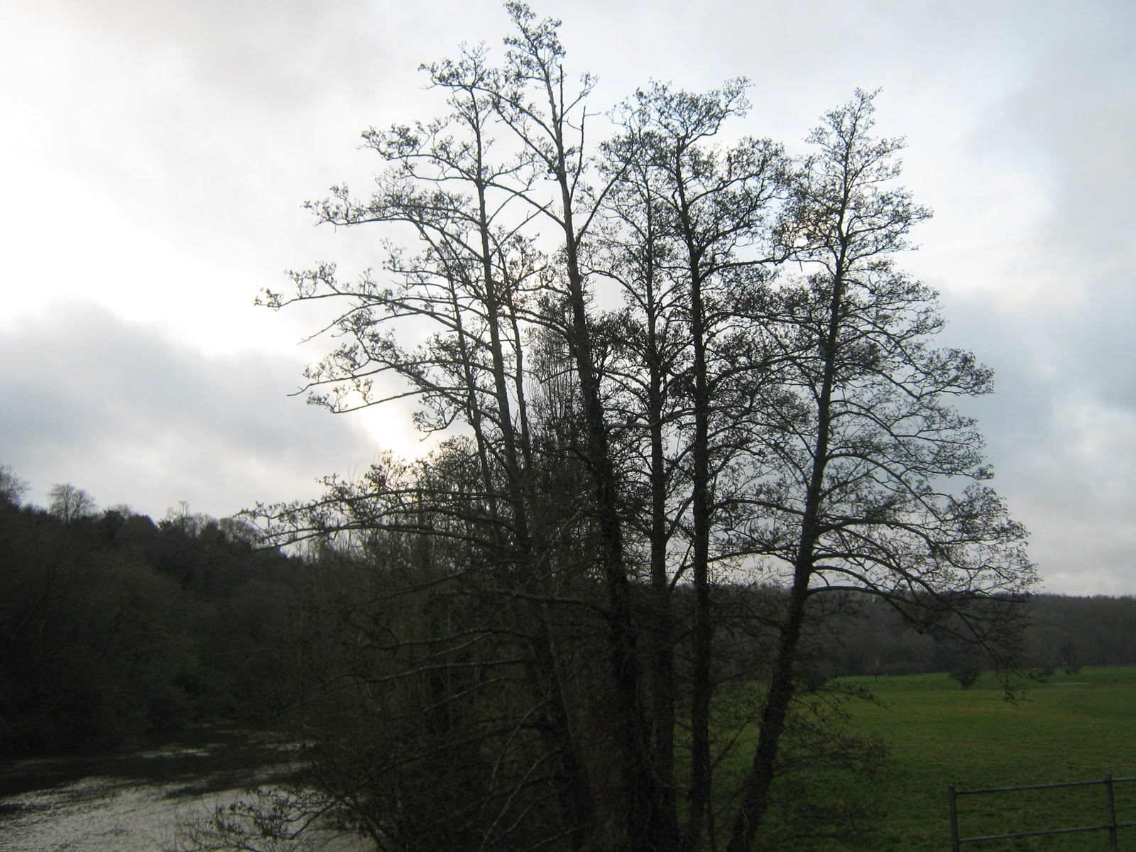 The Crown Estate Proposed Housing Development In Blandford&... Gone