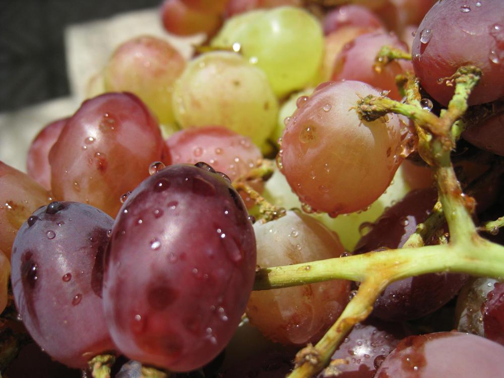LATEST ALL FUN THINGS Grapes Nutriton Facts And Health Beanefit