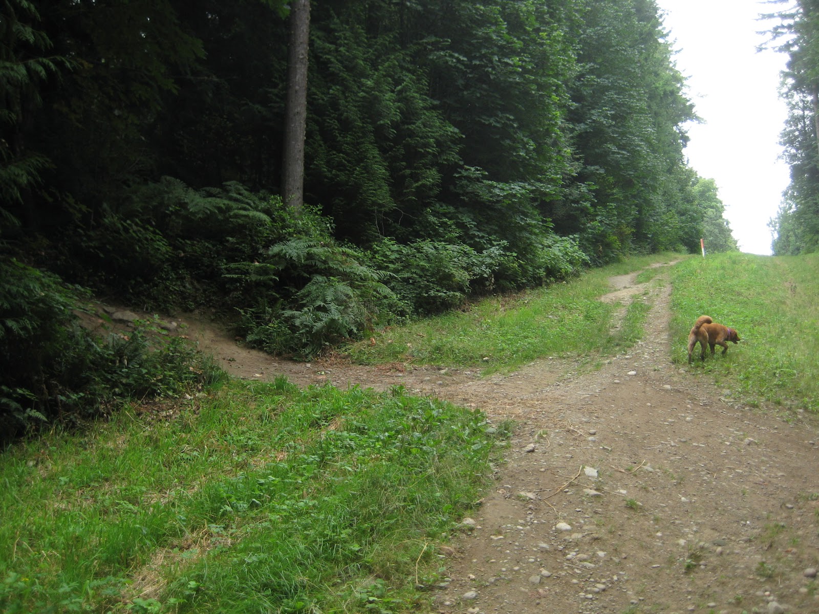 Galbraith Hiking Loop Meatgrinder via Pipeline; return via Bob's