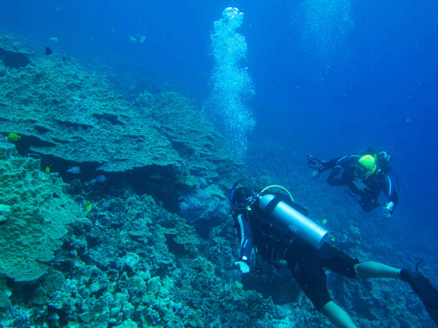 A Kona Hawaii Scuba Diver blabbers on the Big Island of Hawaii and