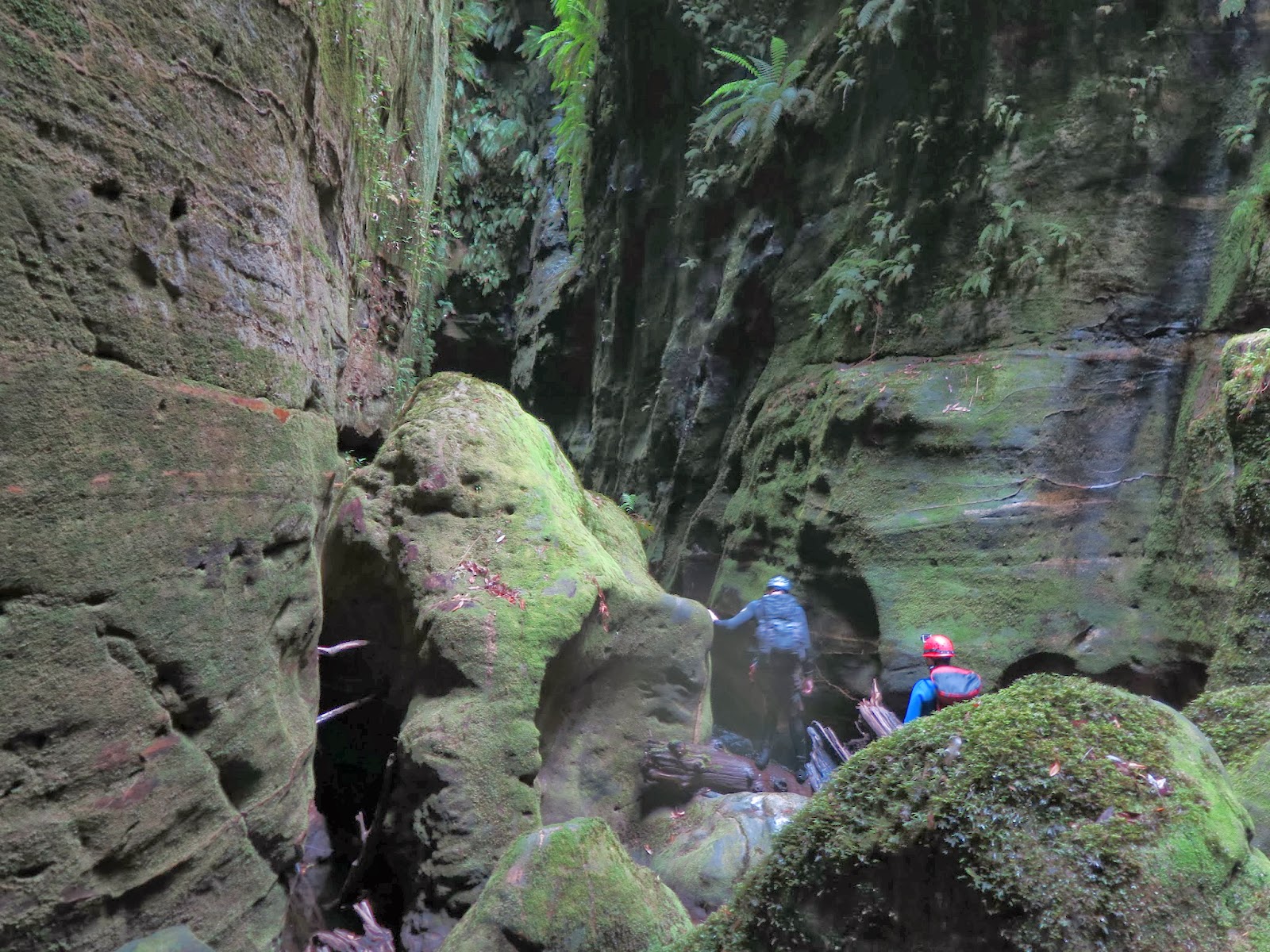 Darren M Claustral canyon