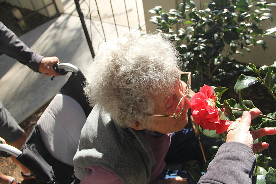 90-Year-Old With Cancer Chooses Epic Road Trip With Family Instead Of Treatment - But while Norma has been busy, she’s still had time to stop and smell the roses 90-Year-Old With Cancer Chooses Epic Road Trip With Family Instead Of Treatment - But while Norma has been busy, she’s still had time to stop and smell the roses